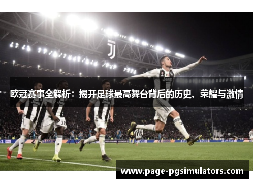 欧冠赛事全解析：揭开足球最高舞台背后的历史、荣耀与激情