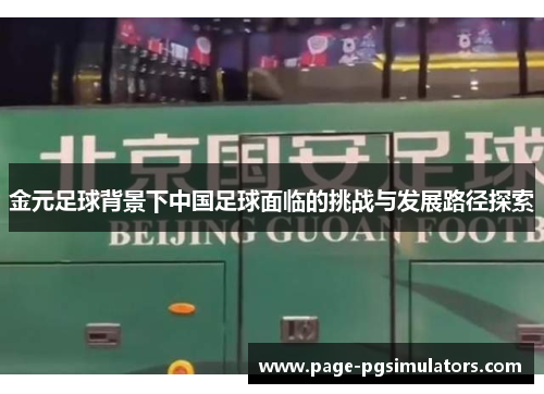 金元足球背景下中国足球面临的挑战与发展路径探索