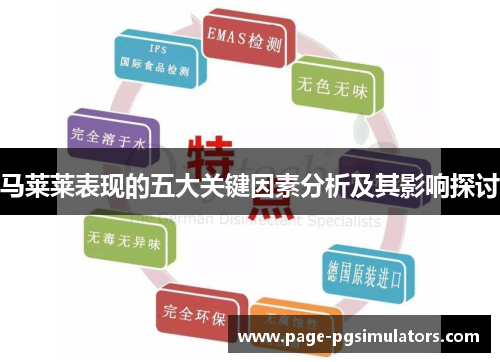 马莱莱表现的五大关键因素分析及其影响探讨