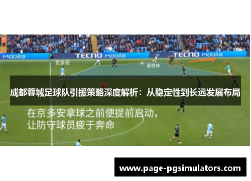 成都蓉城足球队引援策略深度解析：从稳定性到长远发展布局